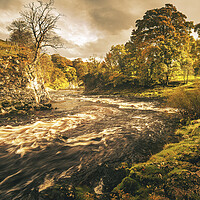 Buy canvas prints of Moody Autumn Magic by Tim Hill