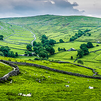 Buy canvas prints of Dry Stone Walls Yorkshire Dales by Tim Hill