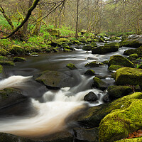Buy canvas prints of Hebden Beck Near Hardcastle Crags by Tim Hill