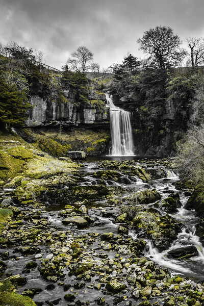  Thornton Force Waterfall Ingleton Picture Board by Tim Hill