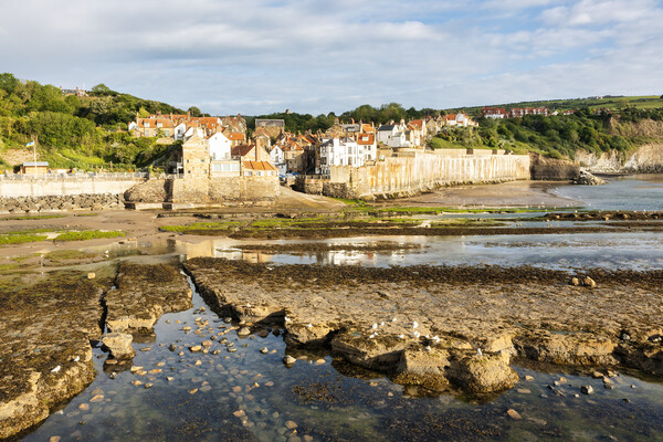 Seagull and Rock pools, Robin Hoods Bay Picture Board by Tim Hill