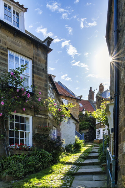 Sunny Place, Robin Hoods Bay Picture Board by Tim Hill