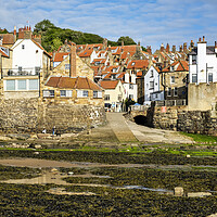 Buy canvas prints of Dog walkers on Robin Hoods Bay beach by Tim Hill