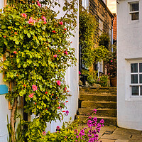 Buy canvas prints of Blue Bench Robin hoods Bay by Tim Hill