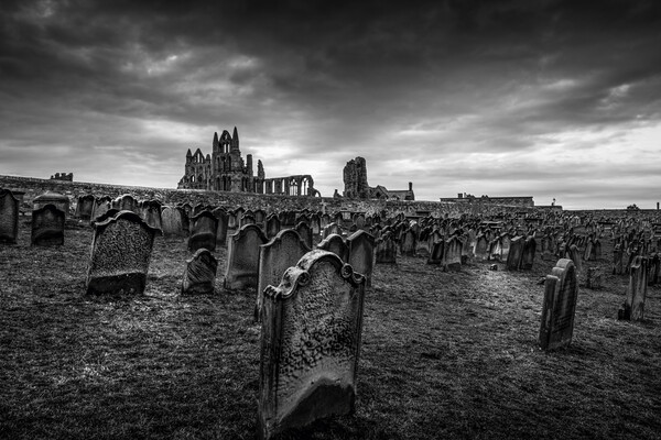 Whitby Abbey and St Marys Graveyard Picture Board by Tim Hill