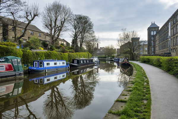 Serene beauty of Skipton canal Picture Board by Tim Hill
