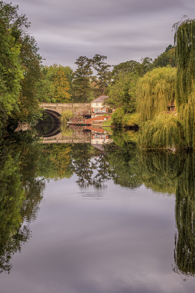Knaresborough Reflections North Yorkshire Picture Board by Tim Hill