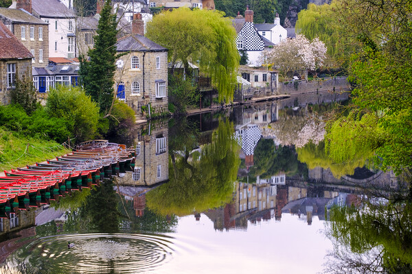 Springtime at Knaresborough Picture Board by Tim Hill