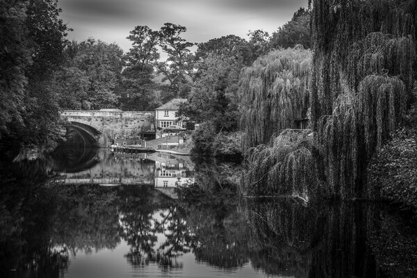 Knaresborough Black and White Picture Board by Tim Hill
