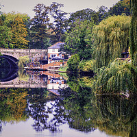 Buy canvas prints of Knaresborough Reflections North Yorkshire by Tim Hill