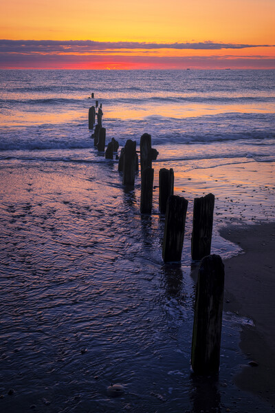 Serenity at Sandsend Picture Board by Tim Hill