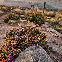 Buy canvas prints of Surprise View Peak District by Tim Hill