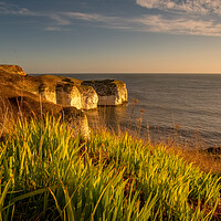 Buy canvas prints of Majestic Cliffs of Flamborough by Tim Hill