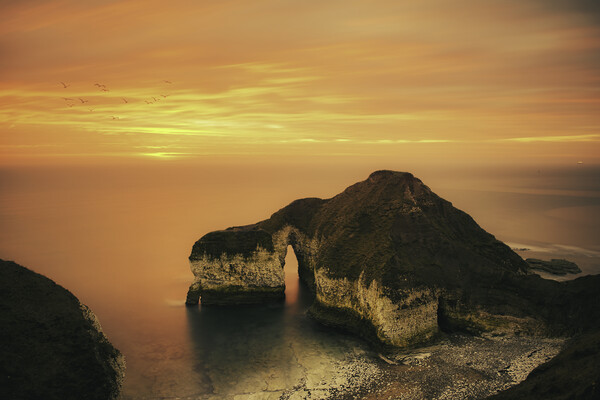 Drinking Dinosaur Flamborough Head Picture Board by Tim Hill