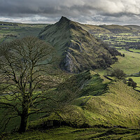 Buy canvas prints of Chrome Hill Lone Tree ~ Derbyshire Peak District by Tim Hill