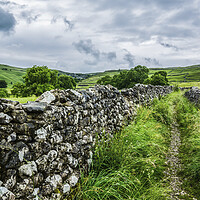 Buy canvas prints of Dry Stone Walls to Malham Cove by Tim Hill