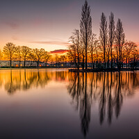 Buy canvas prints of Pontefract Park Lake, West Yorkshire by Tim Hill