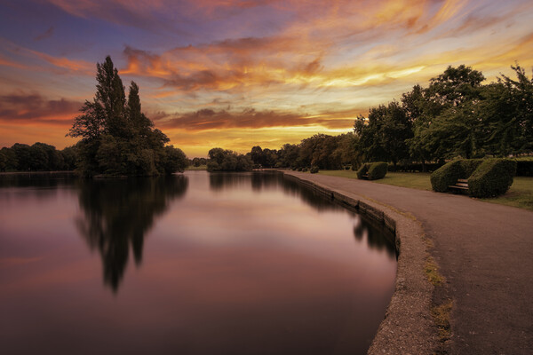 Pontefract Park Lake Sunrise West Yorkshire Picture Board by Tim Hill