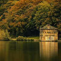 Buy canvas prints of Newmillerdam Boat House Wakefield by Tim Hill
