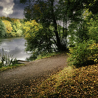 Buy canvas prints of Moody Newmillerdam Wakefield by Tim Hill
