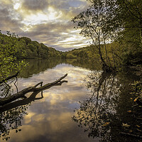 Buy canvas prints of Sunrise at Newmillerdam Wakefield by Tim Hill