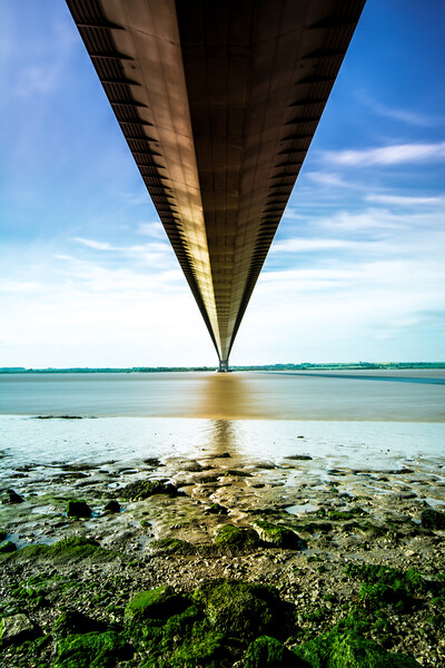 A Serene View of the Mighty Humber Bridge Picture Board by Tim Hill