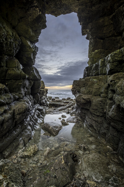 Rock Arch at Thornwick Bay Picture Board by Tim Hill