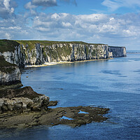Buy canvas prints of Wild Beauty of Thornwick Bay by Tim Hill