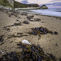 Buy canvas prints of Dawn at Thornwick Cove by Tim Hill