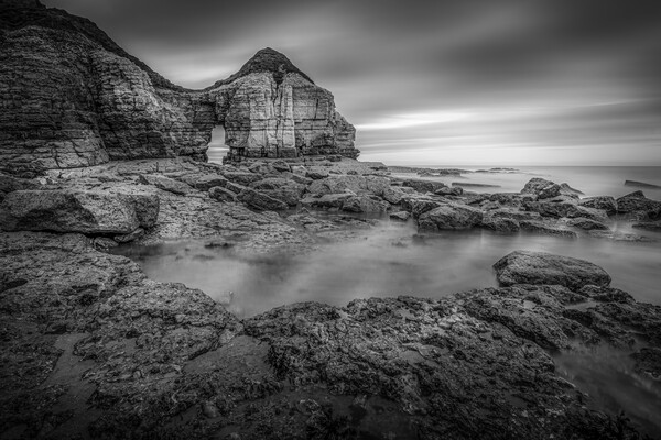Thornwick Bay Cliff Arch in Black and White Picture Board by Tim Hill
