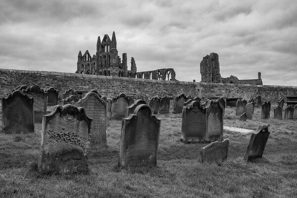 Whitby Abbey Picture Board by Tim Hill