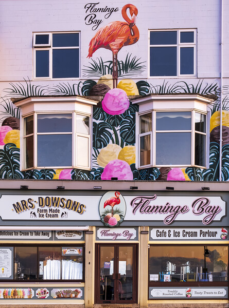 Flamingo Bay Ice cream Parlour Scarborough Picture Board by Tim Hill