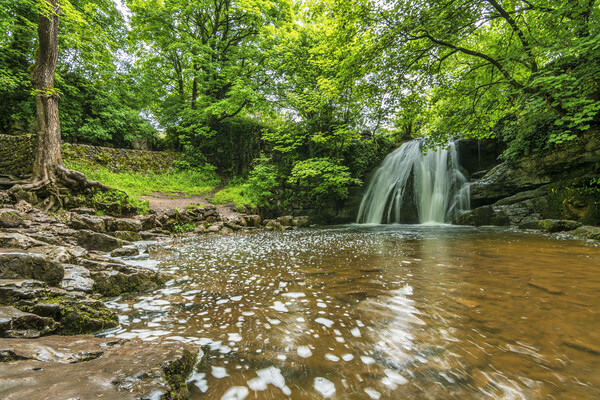 Janets Foss Waterfall Malham Picture Board by Tim Hill