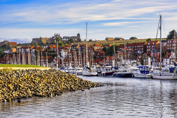 Whitby Abbey from River Esk Yachting Marina Picture Board by Tim Hill