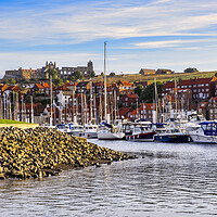 Buy canvas prints of Whitby Abbey from River Esk Yachting Marina by Tim Hill