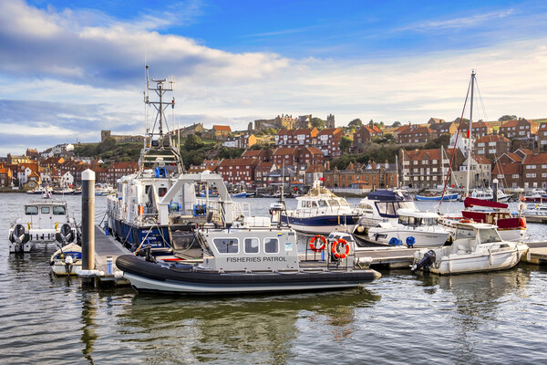 River Esk Yachting Marina to Whitby Abbey Picture Board by Tim Hill