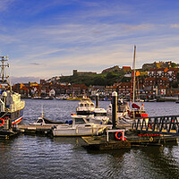 Buy canvas prints of Whitby River Esk Panoramic by Tim Hill