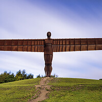 Buy canvas prints of Magnificent Guardian of the North by Tim Hill
