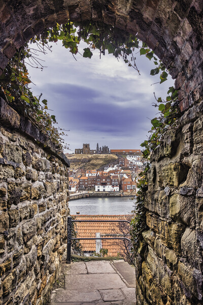Whitby Abbey from West Cliff Tunnel Picture Board by Tim Hill