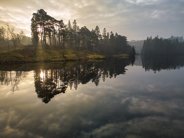 Tarn Hows Sunrise Picture Board by Tim Hill