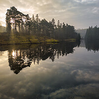 Buy canvas prints of Tarn Hows Sunrise by Tim Hill