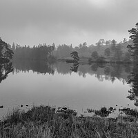 Buy canvas prints of Tarn Hows Monochrome by Tim Hill