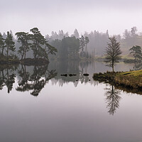 Buy canvas prints of Tarn Hows Lake District by Tim Hill