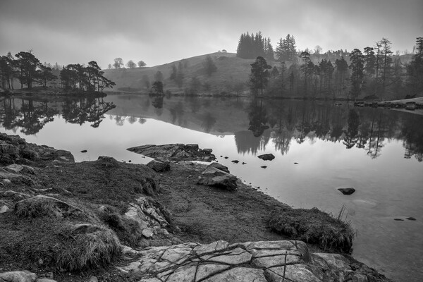 Tarn Hows Black and White Picture Board by Tim Hill