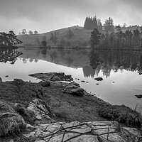 Buy canvas prints of Tarn Hows Black and White by Tim Hill