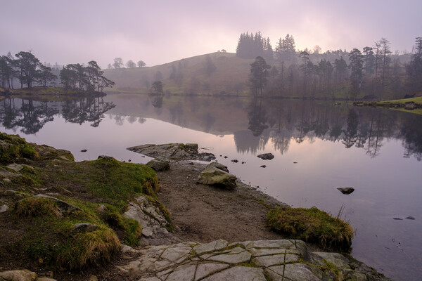Tarn Hows Lake District Picture Board by Tim Hill