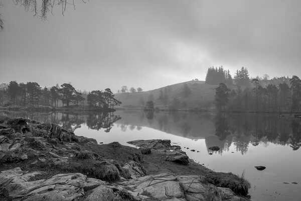 Tranquil Beauty at Tarn Hows Picture Board by Tim Hill