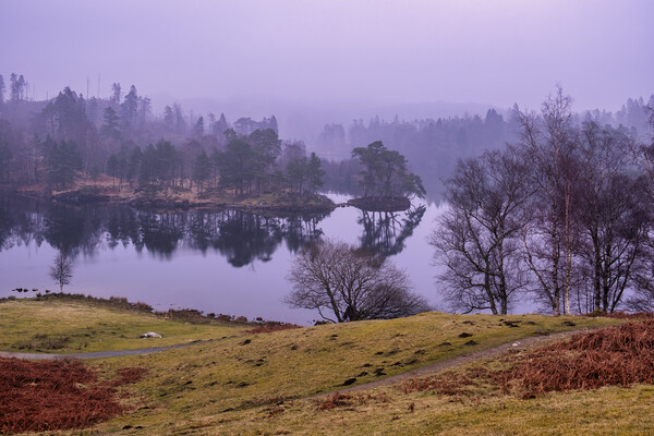Misty Tarn Hows Picture Board by Tim Hill