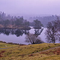 Buy canvas prints of Misty Tarn Hows by Tim Hill