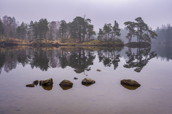 Serene Reflections of Misty Tarn Hows Picture Board by Tim Hill